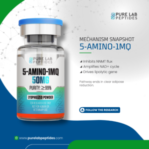 Buy 5-Amino-1MQ 50mg