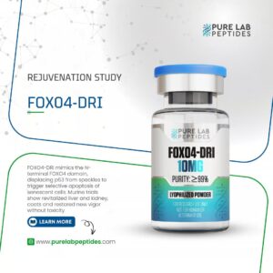 Buy FOXO4-DRI 10mg Peptide Online